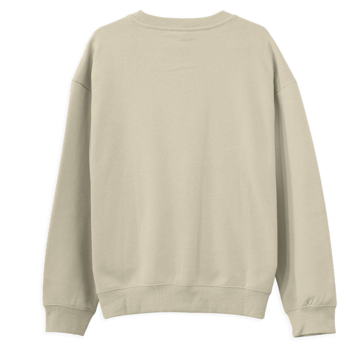 Regular Sweatshirt - Why Not?