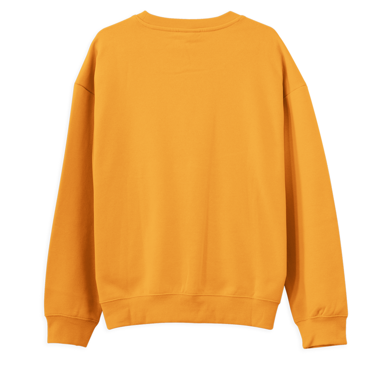 Regular Sweatshirt - Why Not?