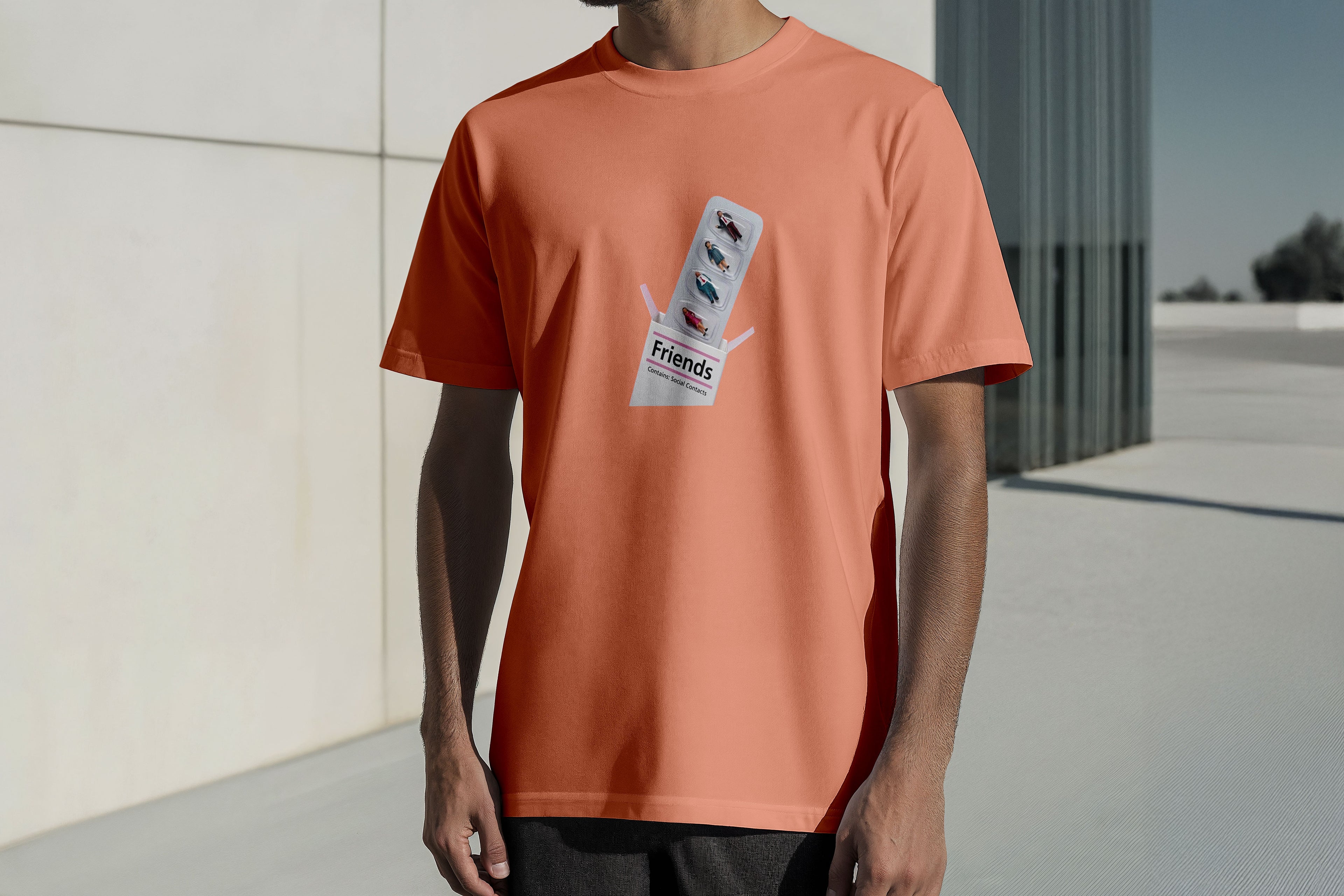 Regular Kısa Kollu Tişört - Friends