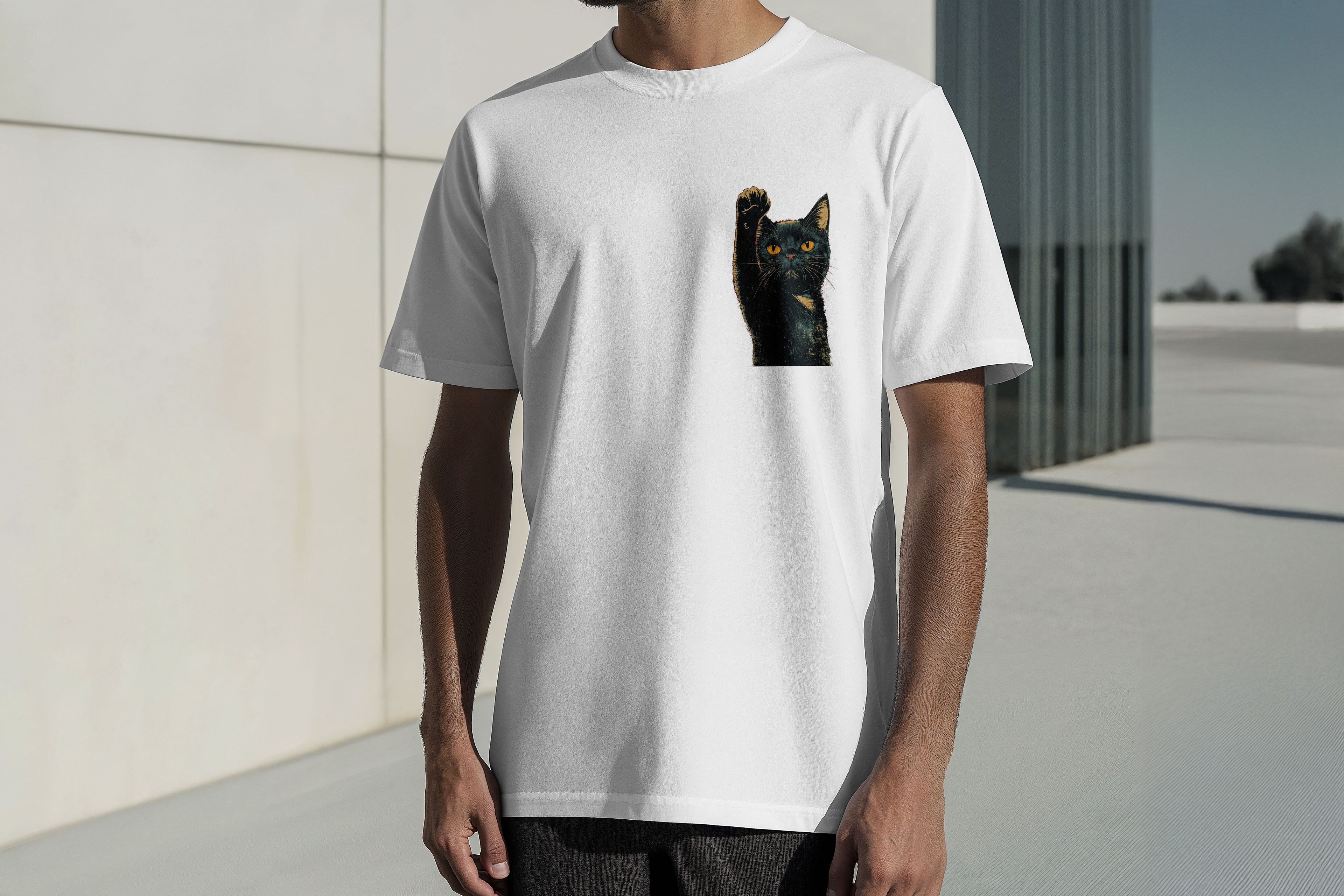 Regular Kısa Kollu Tişört - Chet