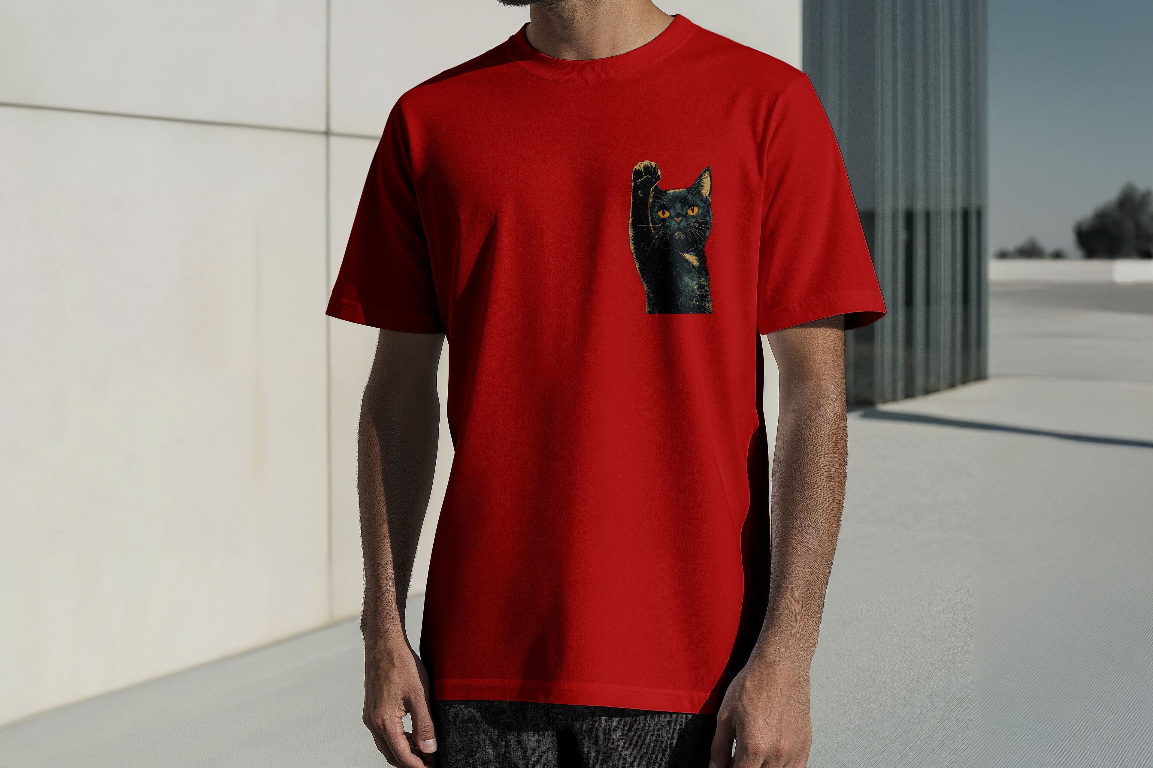 Regular Kısa Kollu Tişört - Chet